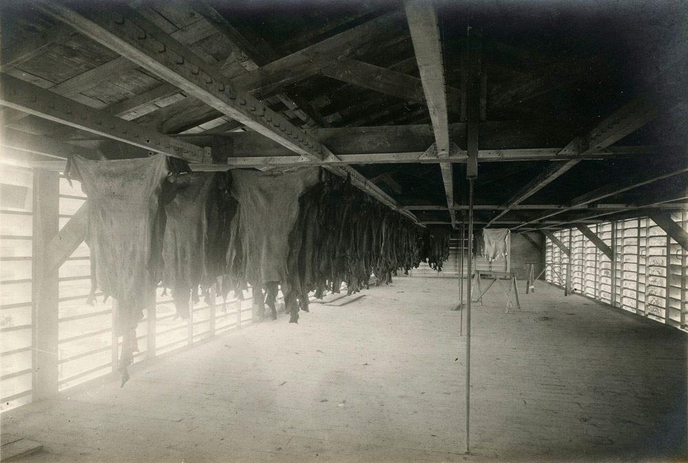 Exposition Ganterie et chamoiserie, musée Bernard d'Agesci, le séchoir, Boinot ©DR