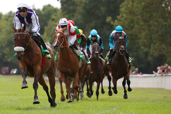 Hippodrome de Niort 2019