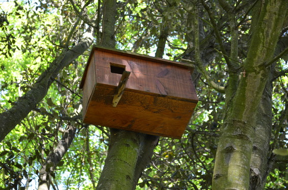 Cimetiere naturel de Souche