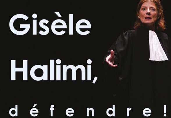 [IMAGE ALT] - Agrandir l'image, fenêtre modale
