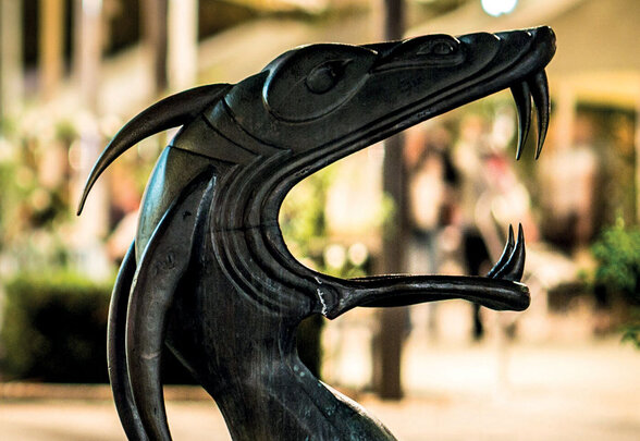 [IMAGE ALT] - Agrandir l'image, fenêtre modale