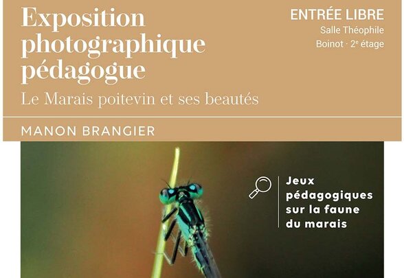  - Agrandir l'image, fenêtre modale