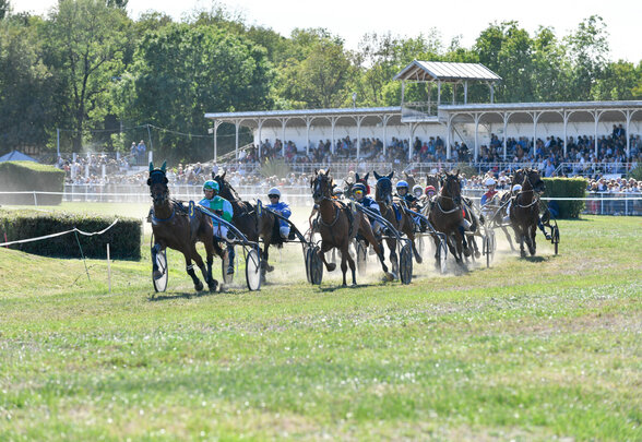 Courses hippiques a l?hippodrome de Niort Grand prix de la ville de Niort - Agrandir l'image, fenêtre modale