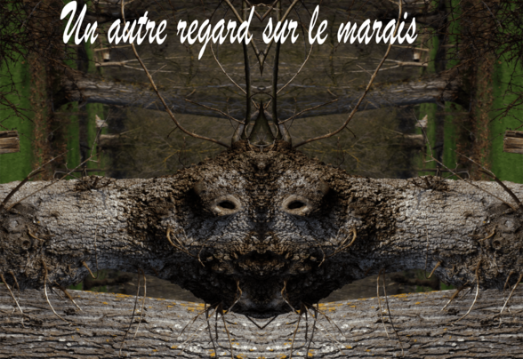  - Agrandir l'image, fenêtre modale