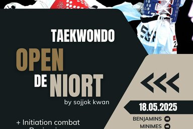 Taekwondo : Open de Niort