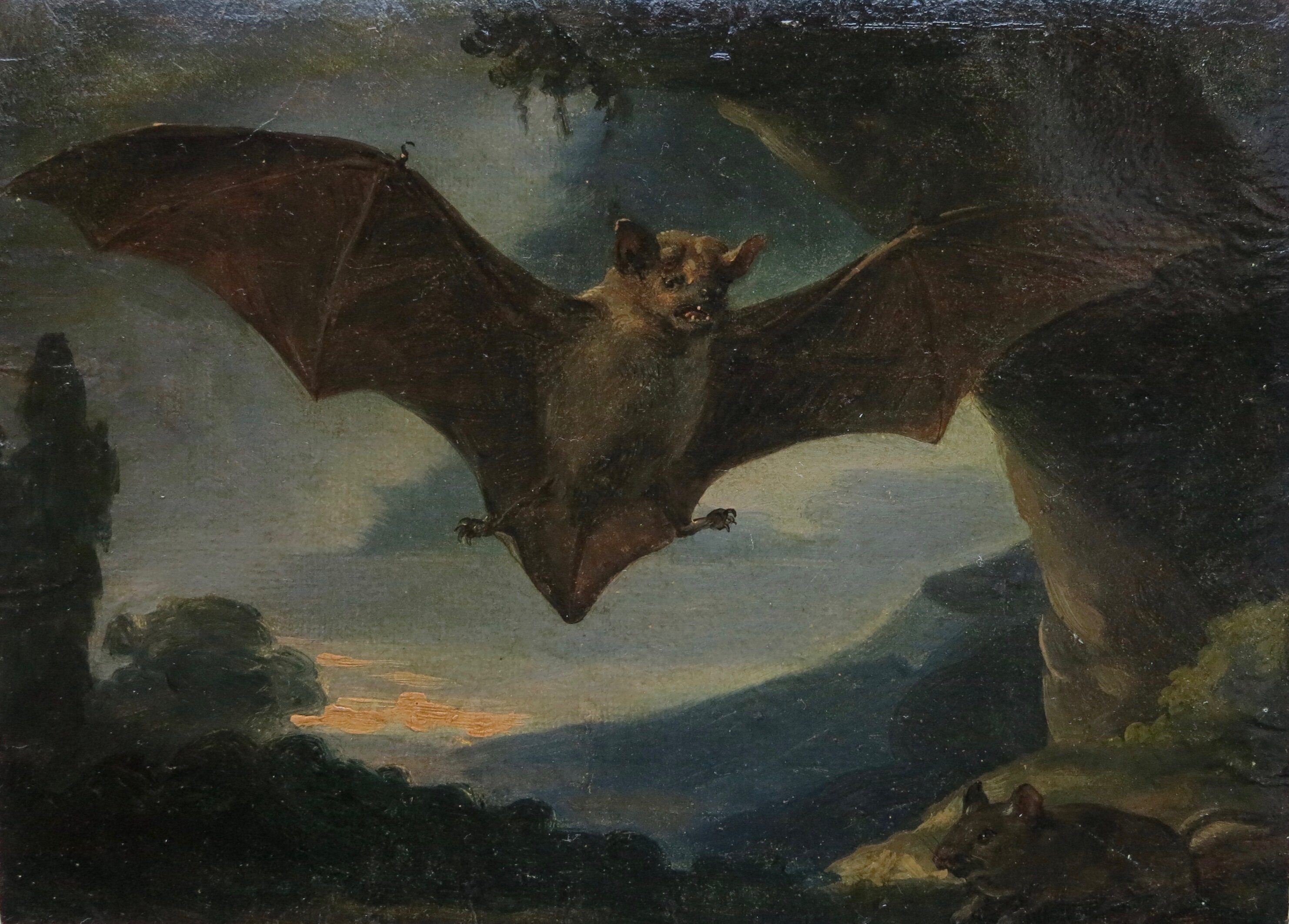 Tableau La chauve-souris par Bernard d'Agesci