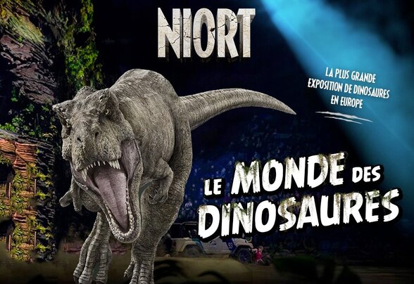 [IMAGE ALT] - Agrandir l'image, fenêtre modale
