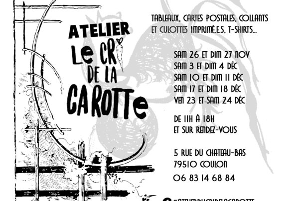 [IMAGE ALT] - Agrandir l'image, fenêtre modale