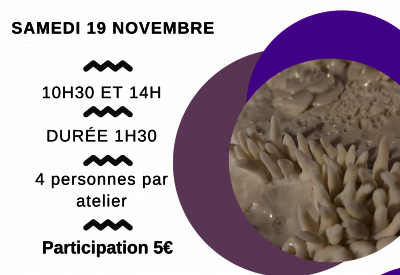 [IMAGE ALT] - Agrandir l'image, fenêtre modale