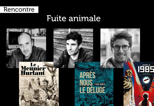  - Agrandir l'image, fenêtre modale