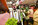 Festival des clowns : Halles de Niort, les clowns font aussi leur marché !