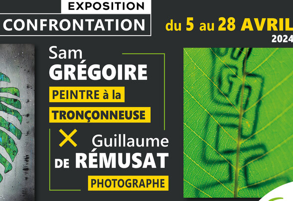  - Agrandir l'image, fenêtre modale