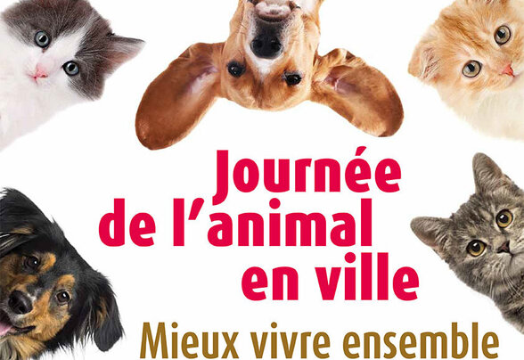 [IMAGE ALT] - Agrandir l'image, fenêtre modale