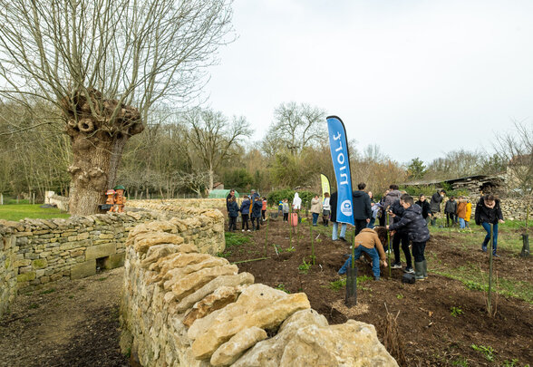 Plantation d?arbres par des eleves de l'ecole Jean-Mermoz pour la creation d'un jardin-foret gourmand a Souche - Agrandir l'image, fenêtre modale