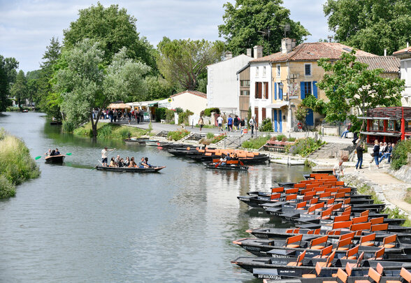Coulon - Agrandir l'image, fenêtre modale